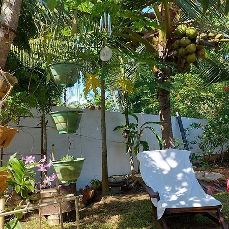 Wine Tree Garden Guesthouse Mirissa Dış mekan fotoğraf