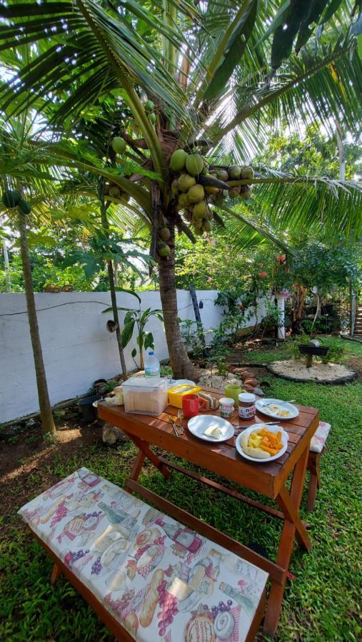 Wine Tree Garden Guesthouse Mirissa Dış mekan fotoğraf
