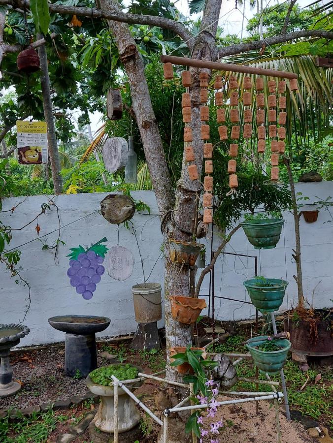 Wine Tree Garden Guesthouse Mirissa Dış mekan fotoğraf