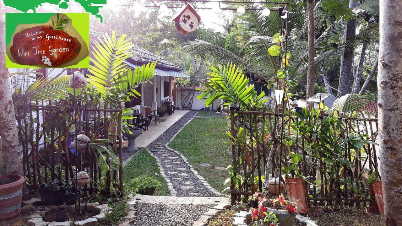 Wine Tree Garden Guesthouse Mirissa Dış mekan fotoğraf
